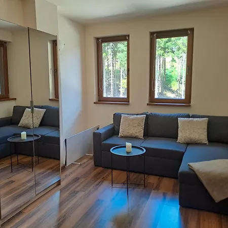 студио алтом Apartment