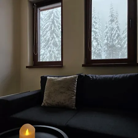 студио алтом Apartment