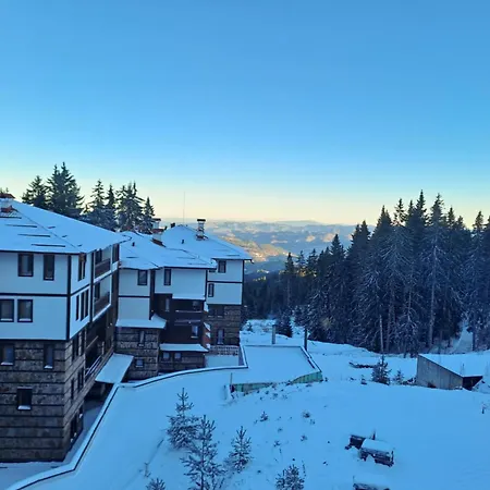 Apartment студио алтом