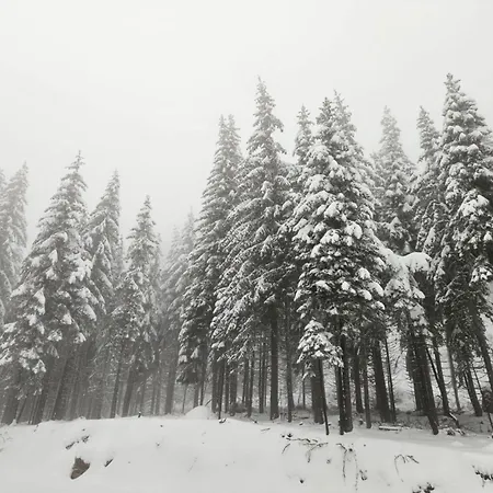 студио алтом Διαμέρισμα Παμπόροβο