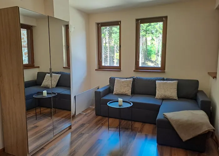 студио алтом Apartment