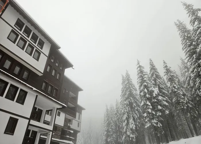 Apartment студио алтом *