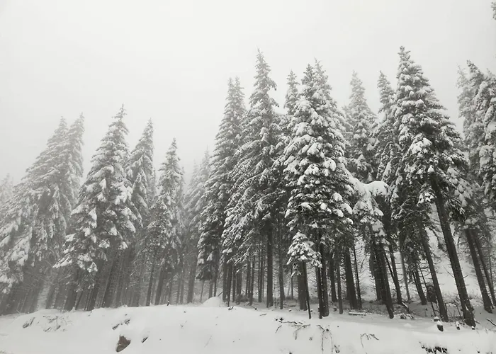 студио алтом Διαμέρισμα Παμπόροβο